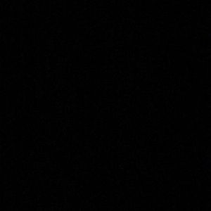 Meet your Posher, Dee